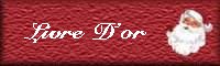 noel1 livredor.jpg (5353 octets)