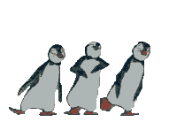 trois pingouins